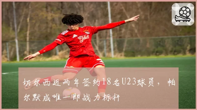 切尔西近两年签约18名U23球员，帕尔默成唯一即战力标杆