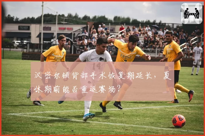 汉密尔顿背部手术恢复期延长，夏休期前能否重返赛场？